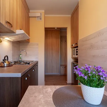 Czarny Potok Mieszkanie Apartament アパート *