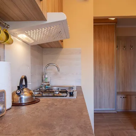 Czarny Potok Mieszkanie Apartament アパート *